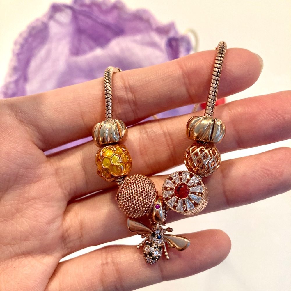 NWOT Rose Gold Charm Bracelet